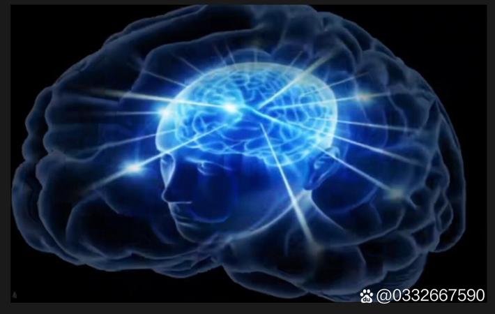 俄罗斯最新资讯-快科技--科技改变未来